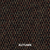 Sample / Autumn