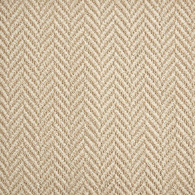 Stain Resistant Rug in Custom and 15 Standard Sizes-Bravo