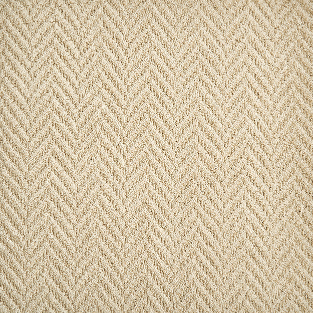 Stain Resistant Rug in Custom and 15 Standard Sizes-Bravo