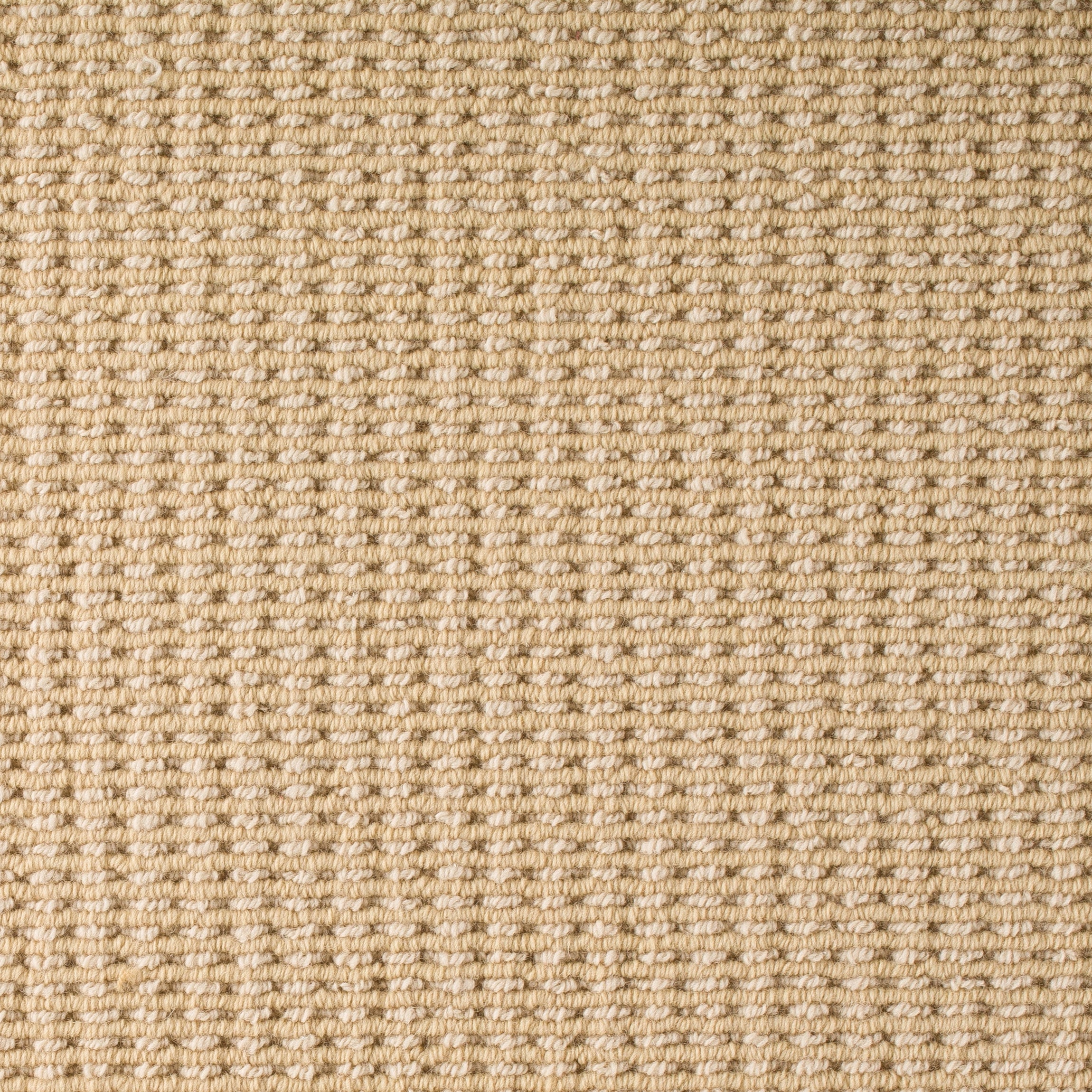 100% Wool Rug in Custom and 15 Standard Sizes-Noble Cool