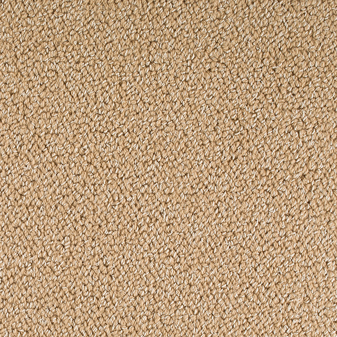 100% Wool Rug in Custom and 15 Standard Sizes-Glamour