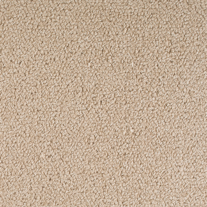 100% Wool Rug in Custom and 15 Standard Sizes-Glamour