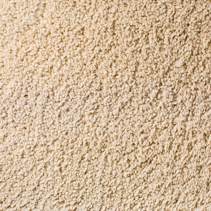 Stain Resistant Rug in Custom and 15 Standard Sizes-Gotta Have It