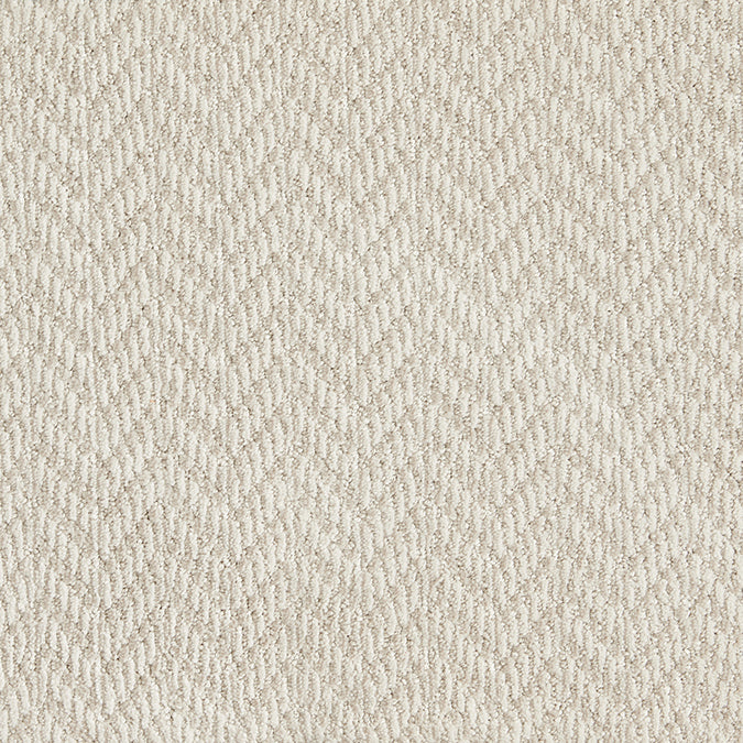 Stain resistant customa area rug apex bone