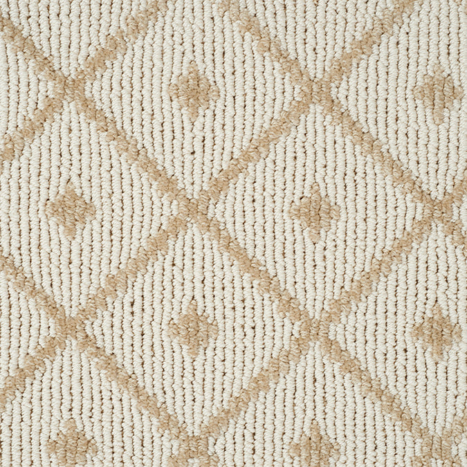 Stain Resistant Rug in Custom and 15 Standard Sizes-Legend Maze
