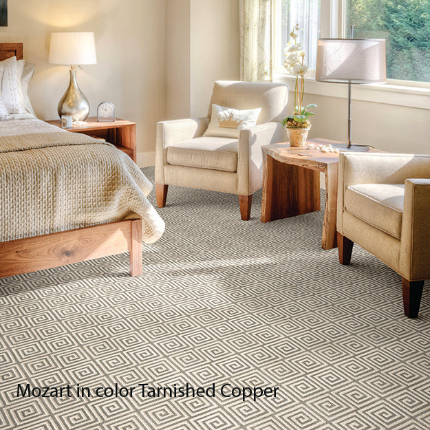 Stain Resistant Rug in Custom and 15 Standard Sizes-Mozart