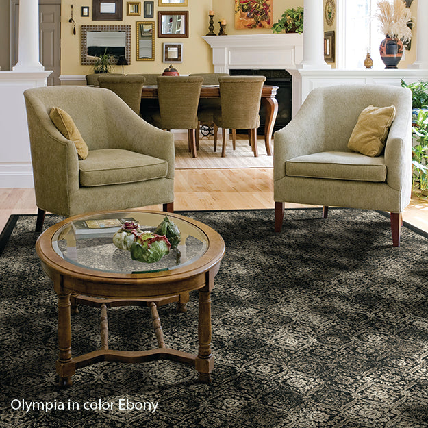 Stain Resistant Rug in Custom and 15 Standard Sizes-Olympia