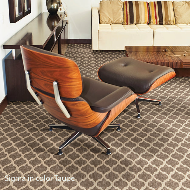 Stain Resistant Rug in Custom and 15 Standard Sizes-Sigma